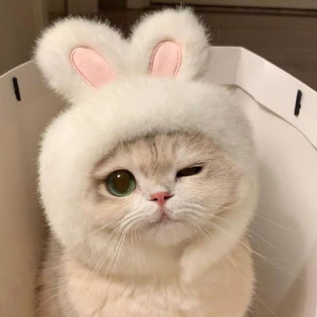 ego profile picture